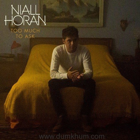 Niall Horan releases single – ‘Too Much To Ask’