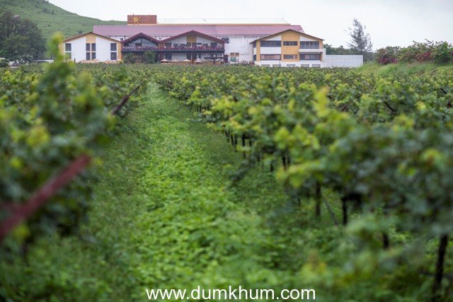 Sula Vineyards launches its wines in Arunachal Pradesh