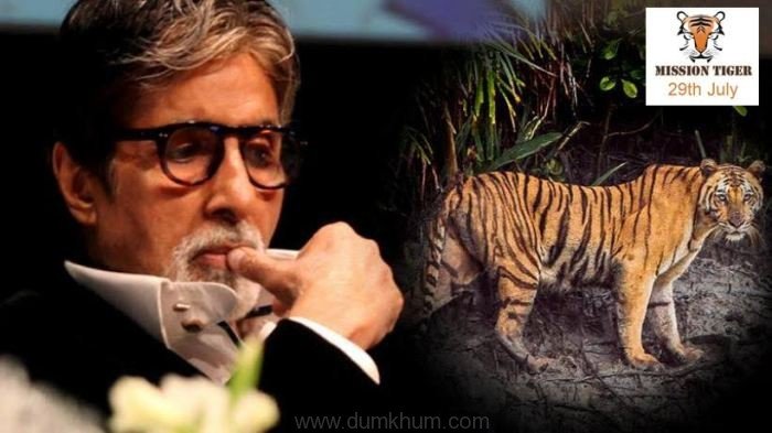 Amitabh Bachchan and ‘Mission Tiger’, targets ‘Save Tiger’
