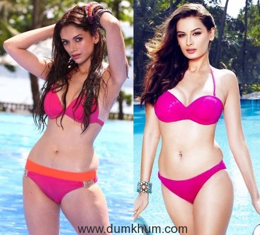 Evelyn Sharma is Bollywood's pink bikini prototype
