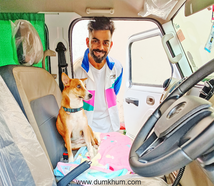 Virat Kohli spends time with stray animals and inaugrates an ambulance for the voiceless